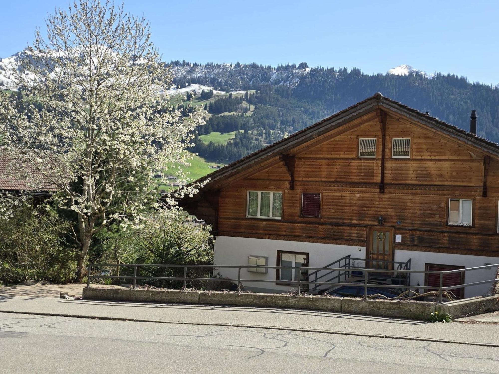 Apartment Am Ryschbaechli By Interhome Zweisimmen Kültér fotó